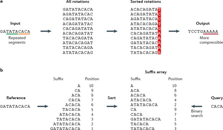 Box 2 | Indexing techniques for sequencing data