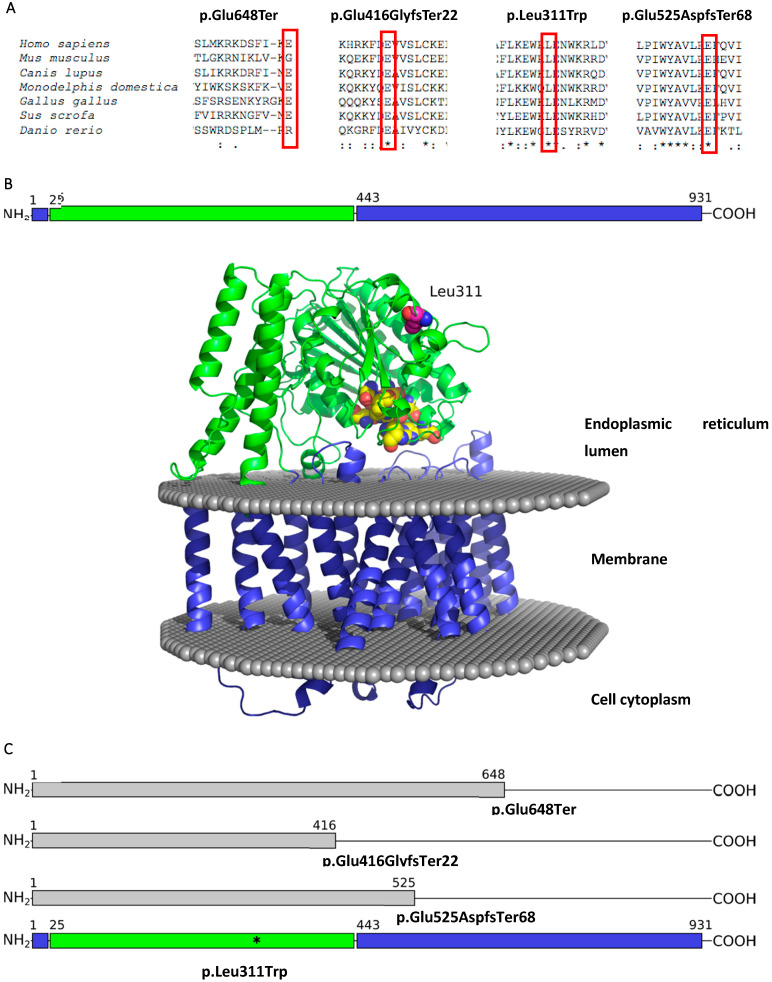 Figure 2