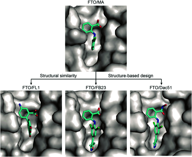 Fig. 8