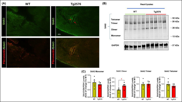 Figure 4: