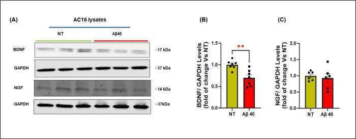 Figure 7: