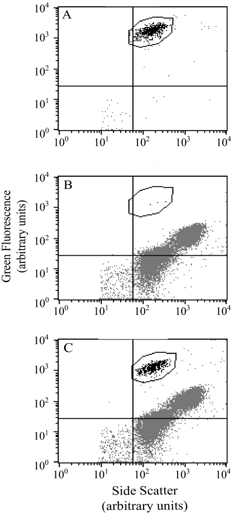 FIG. 2.