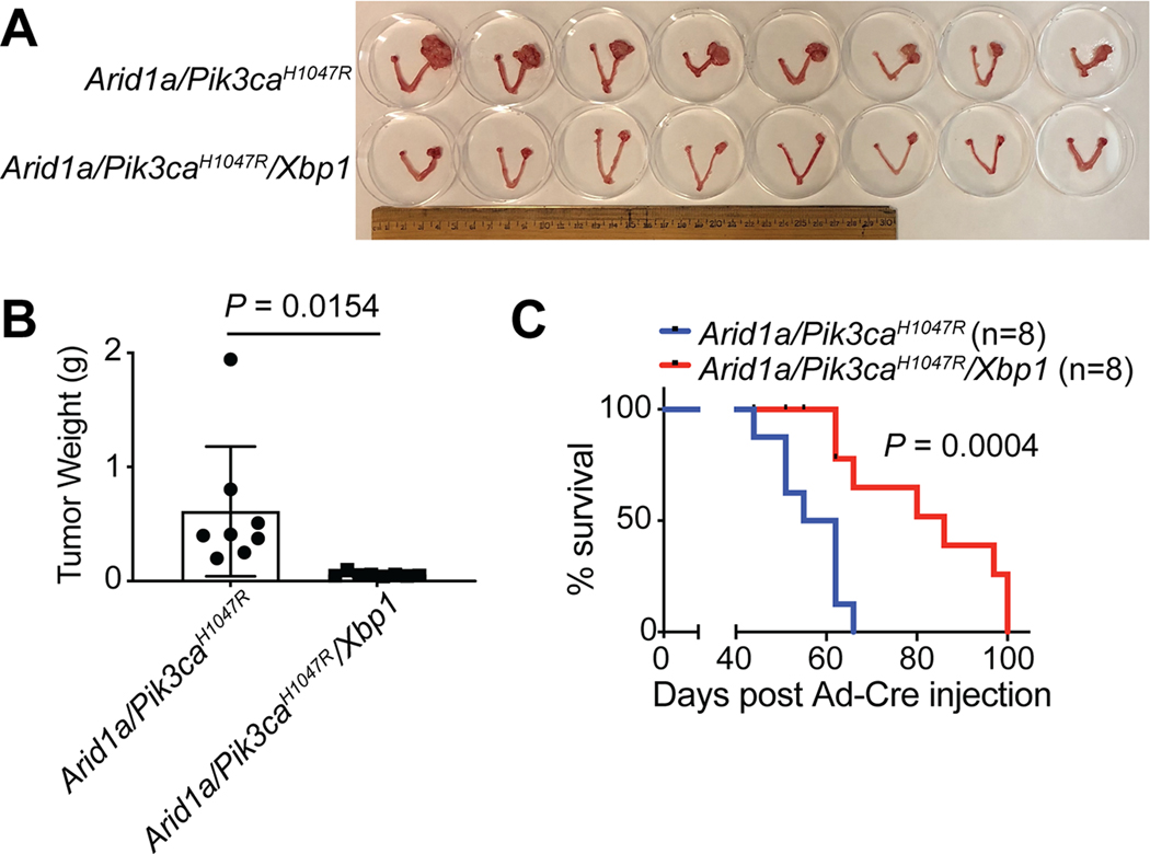 Figure 4: