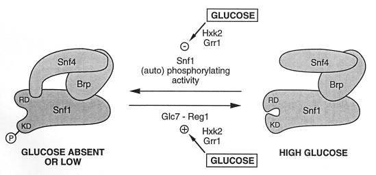 FIG. 3