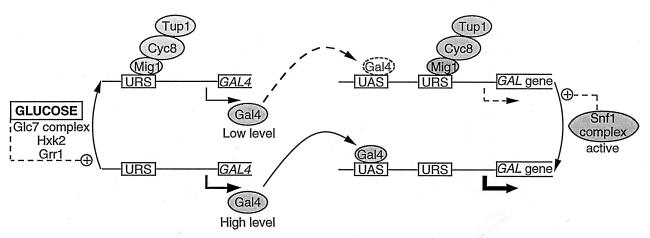 FIG. 4