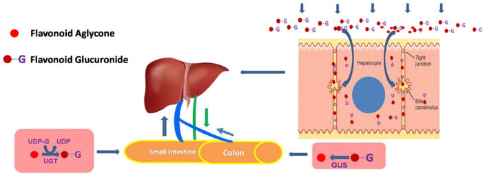 Fig. 6