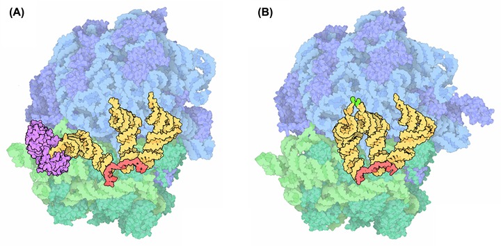 Figure 15