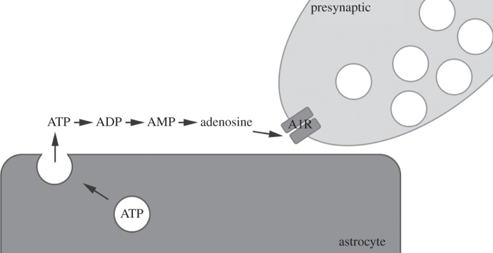 Figure 2.