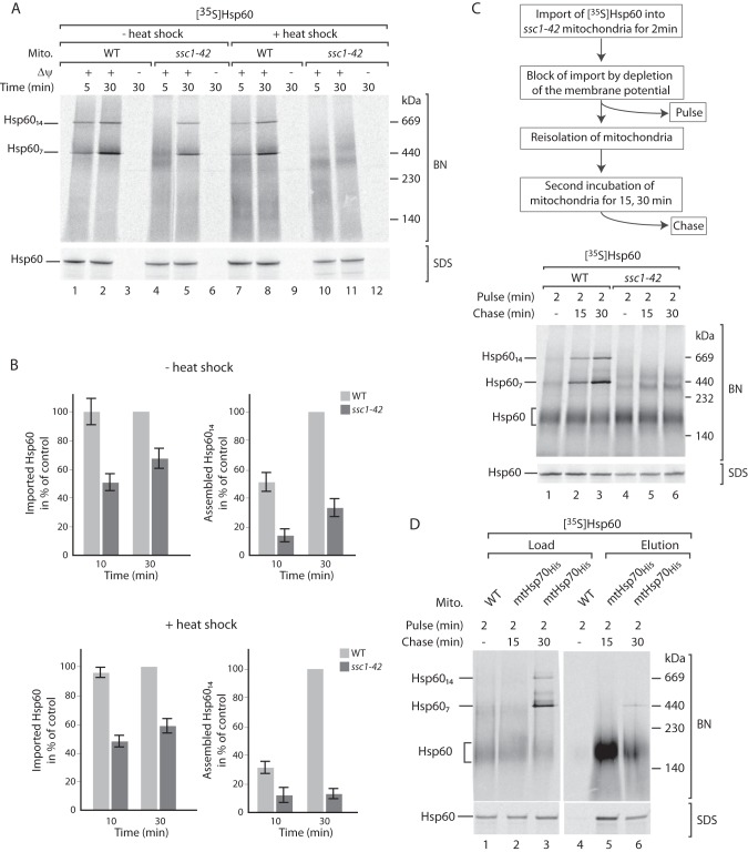 FIGURE 6.