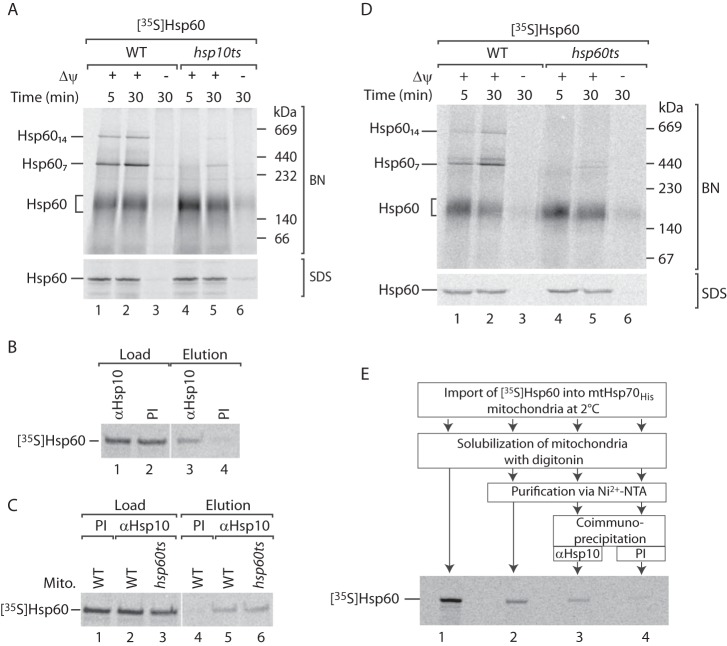 FIGURE 7.