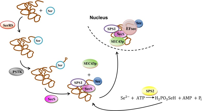 Fig. 4