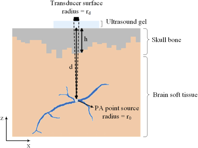 Fig. 1.