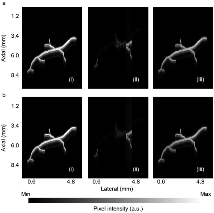 Fig. 6.