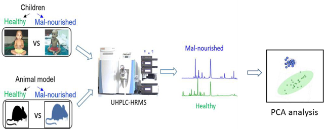 graphic file with name nihms-1648653-f0004.jpg