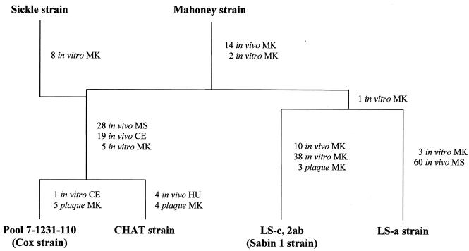 FIG. 1.