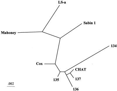 FIG. 3.