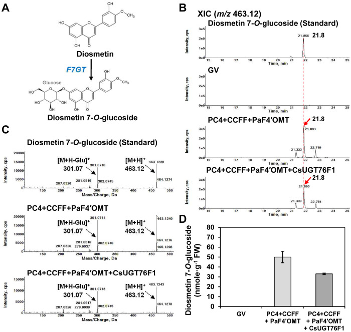 Figure 4