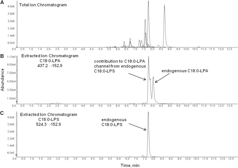 Fig. 3.