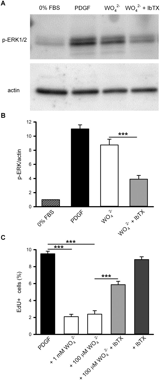 Fig 5