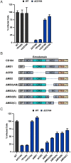 Fig. 3.