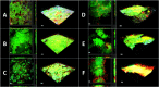 Figure 7