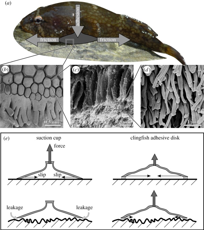 Figure 2.