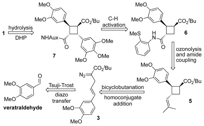 Scheme 2