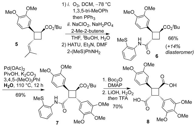 Scheme 5