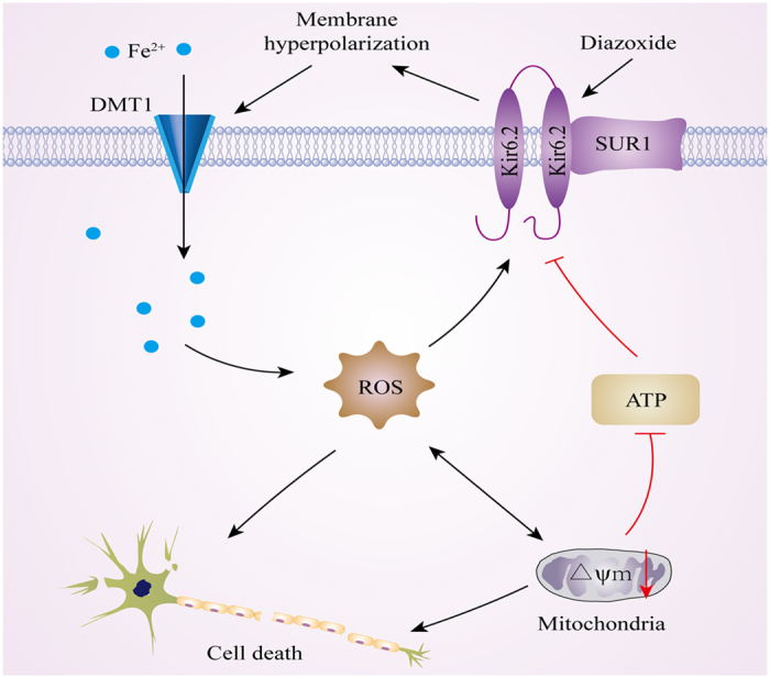 Figure 6