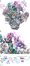 Fig. 4.