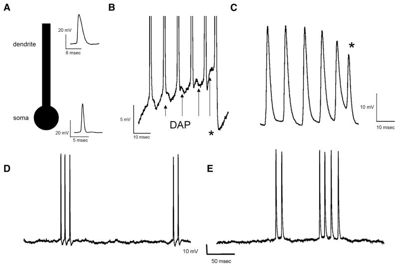 FIG. 1