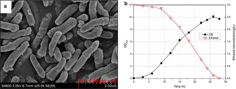 Fig. 2