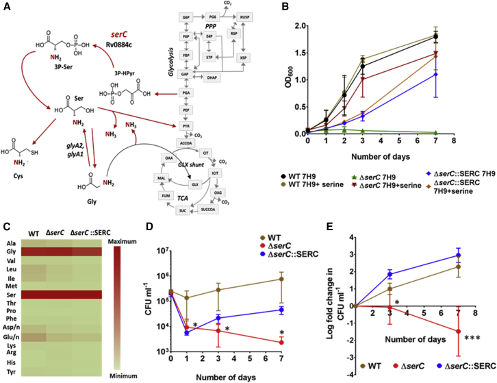 Figure 4