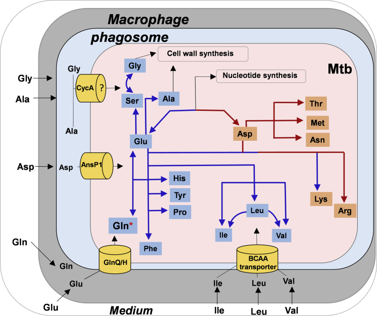 Figure 5