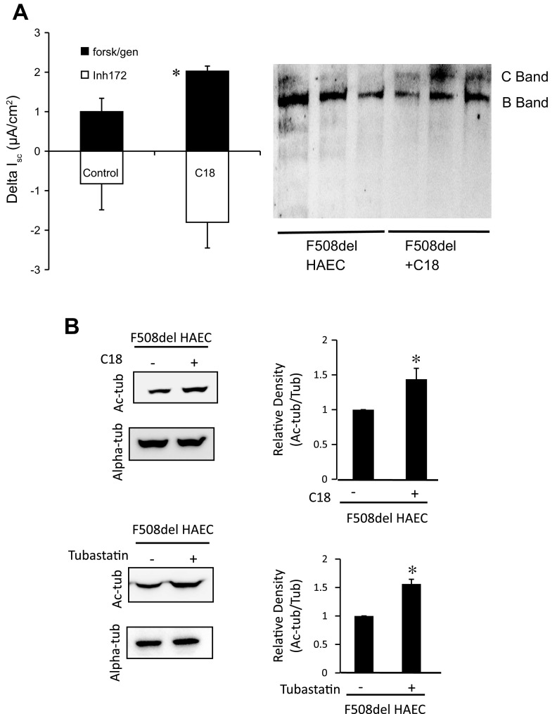 Fig. 10.