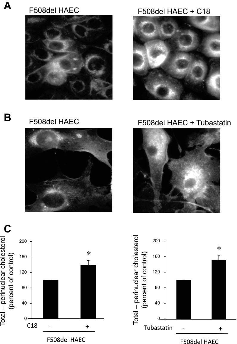 Fig. 11.