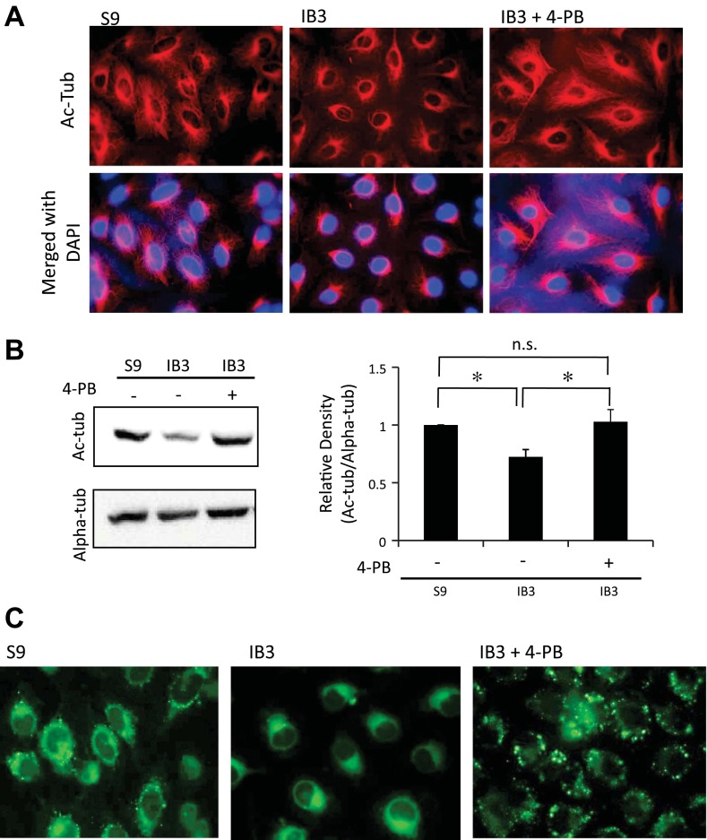 Fig. 9.