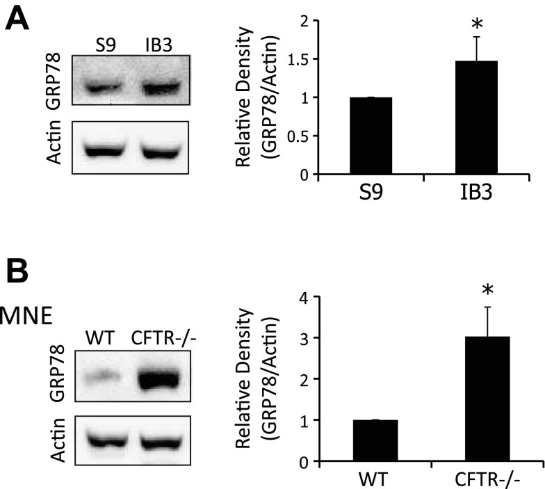 Fig. 8.