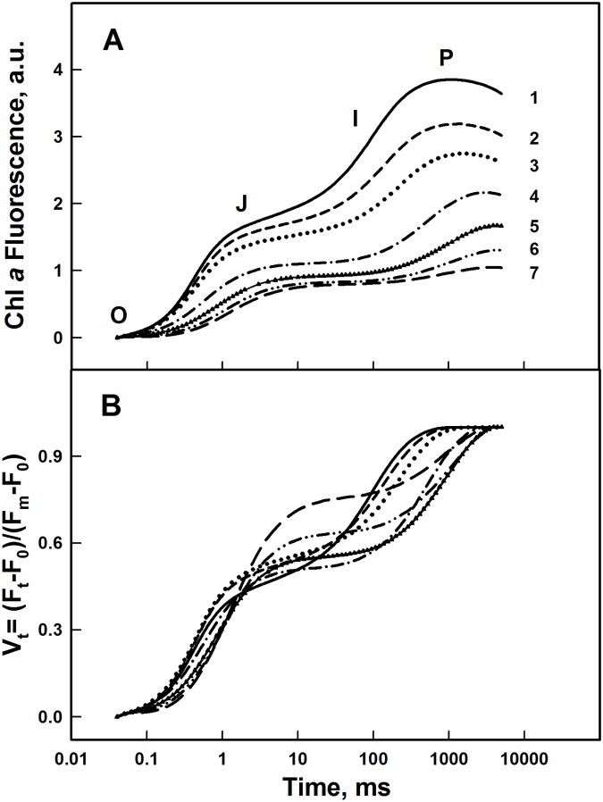 Fig 5