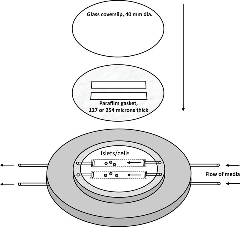 Figure. 1.