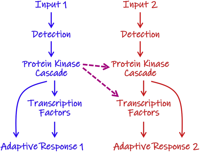 Fig. 2