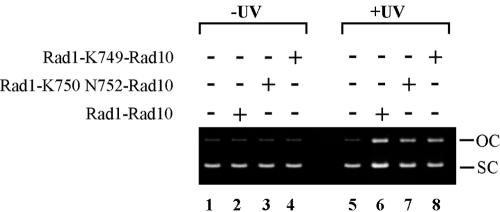 FIG. 5.