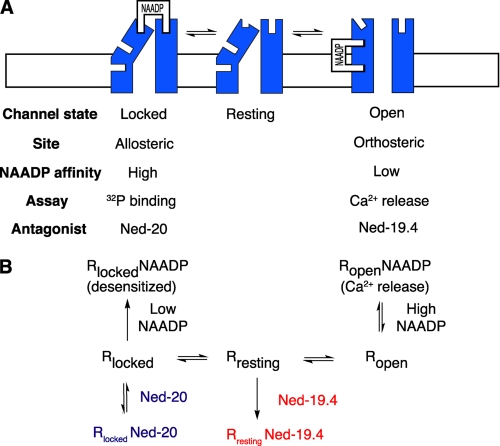 FIGURE 4.