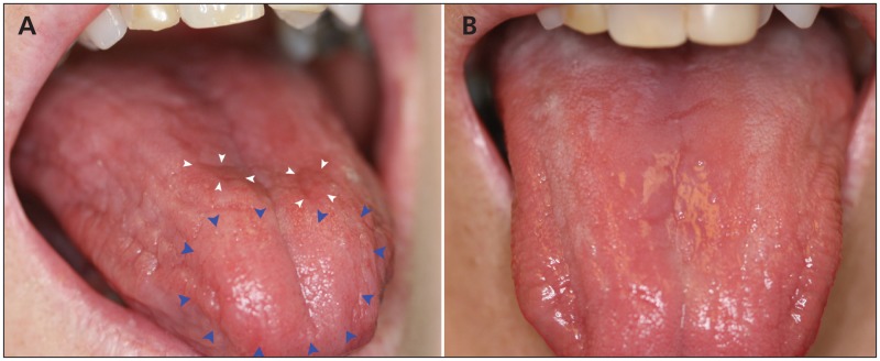 Figure 1: