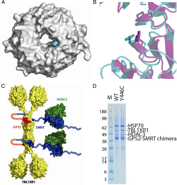 Figure 2