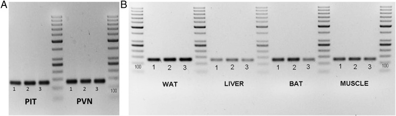 Figure 3