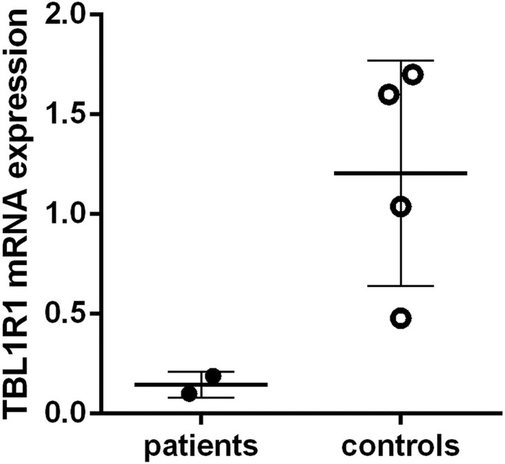 Figure 4