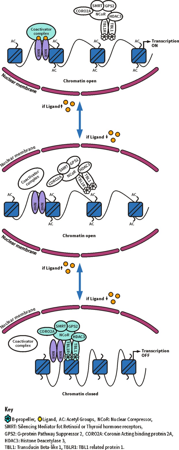 Figure 5