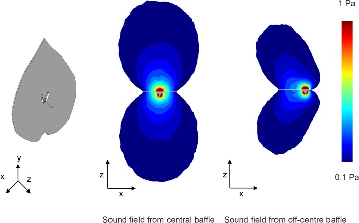 Figure 2—figure supplement 1.