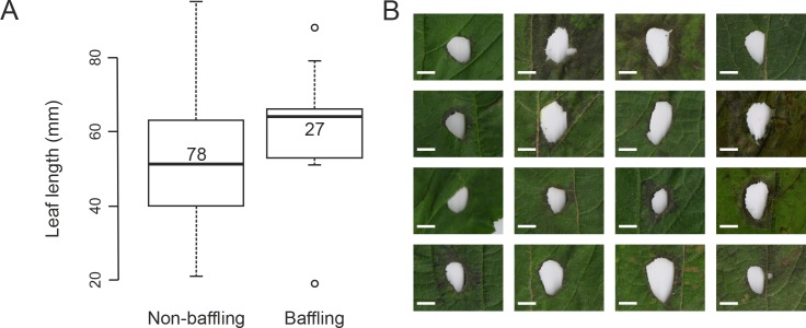 Figure 3—figure supplement 1.